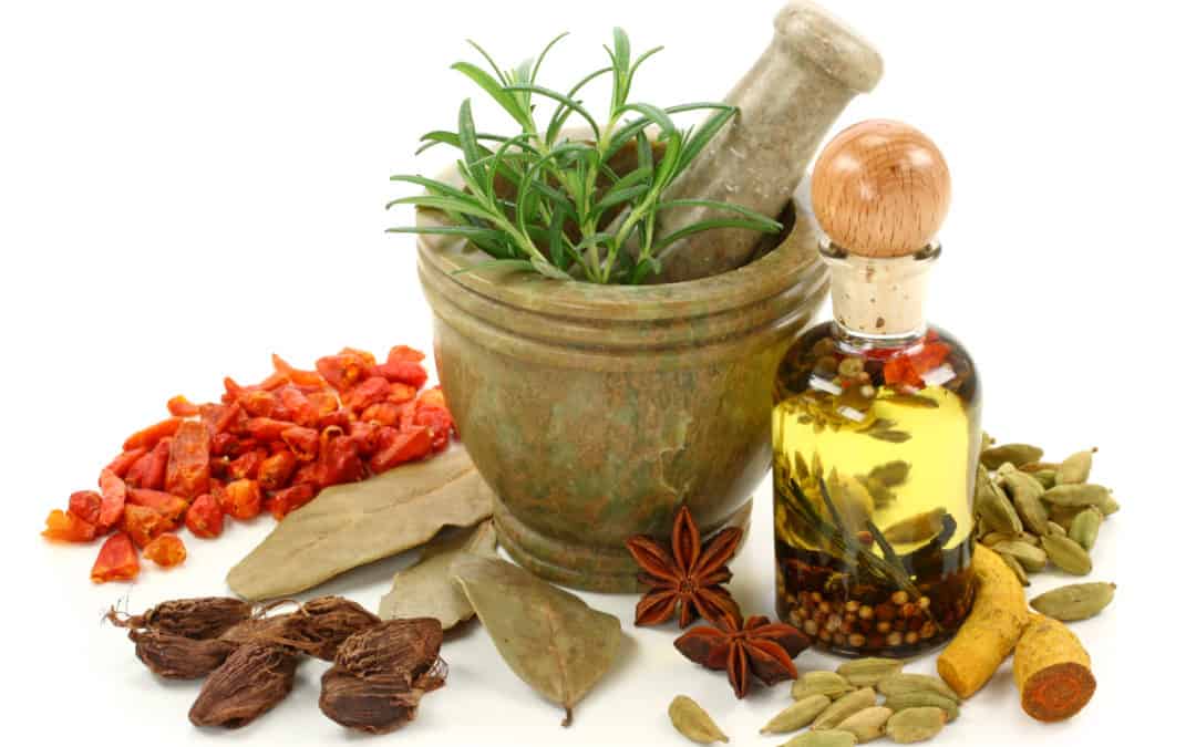 An afternoon of Ayurveda – Saturday Sep 30, 1-4 pm